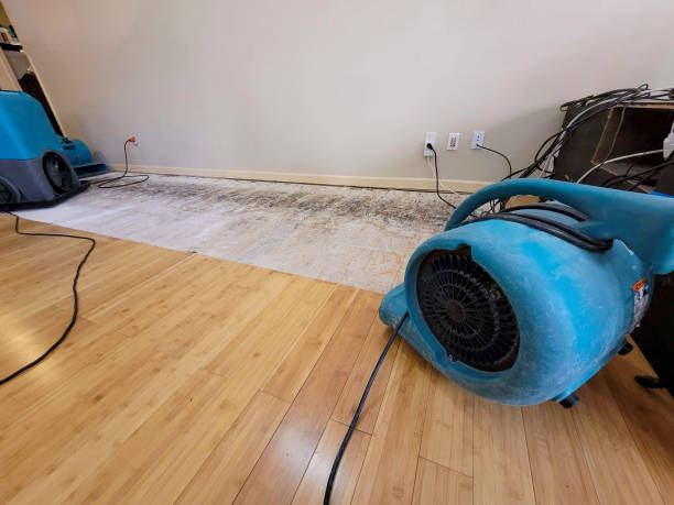 Professional Structural Drying technician working in Yakima, WA